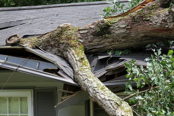 Storm Remediation in Spring Hill