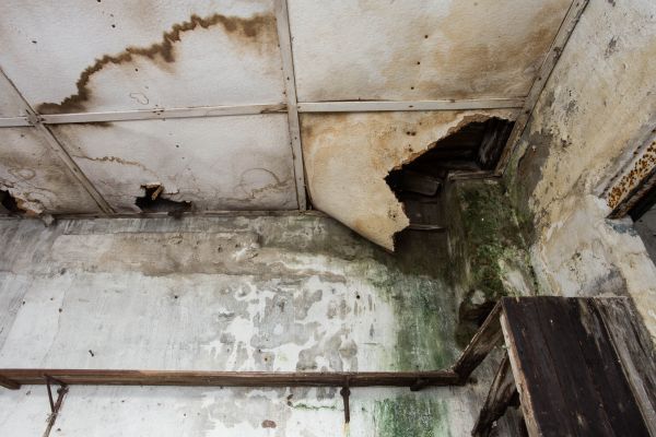 Water Damage Service in Spring Hill