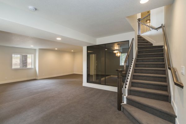 Basement Restoration Service in Spring Hill