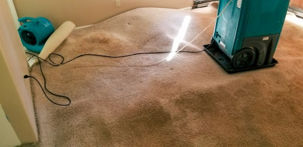 Flood Damage Cleanup in Spring Hill