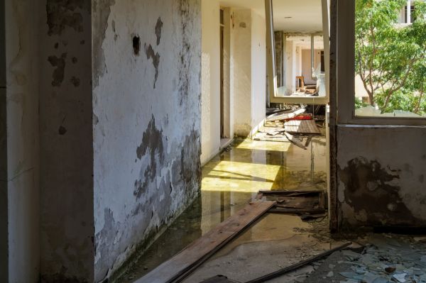 Water Removal Service in Spring Hill