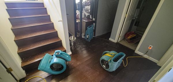 Water Damage Remediation in Spring Hill