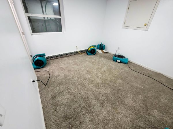 Flood Restoration Service in Spring Hill