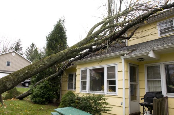 Hurricane Damage Repair in Spring Hill