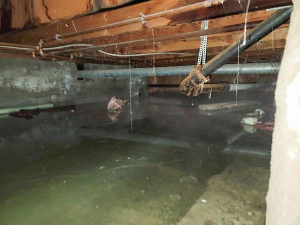 Crawlspace Water Restoration in Spring Hill